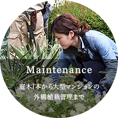 Maintenance